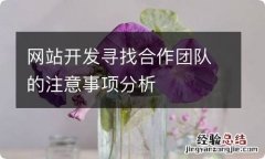 网站开发寻找合作团队的注意事项分析