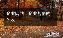 企业网站：企业靓丽的外衣