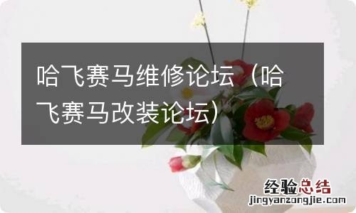 哈飞赛马改装论坛 哈飞赛马维修论坛