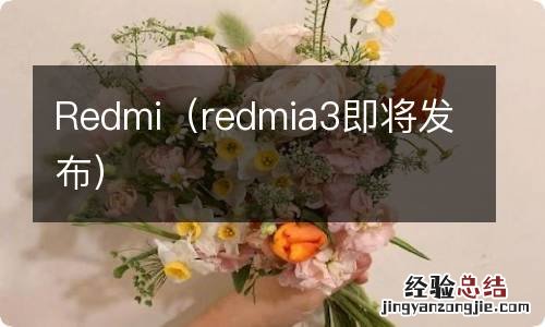 redmia3即将发布 Redmi