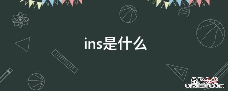 ins全称