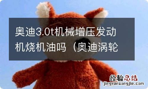 奥迪涡轮增压烧机油吗 奥迪3.0t机械增压发动机烧机油吗