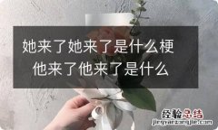 她来了她来了是什么梗他来了他来了是什么意思