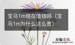 宝马1m为什么这么贵 宝马1m现在值钱吗