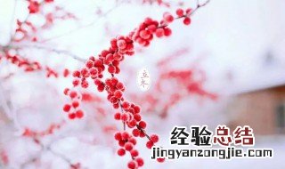 立冬送什么礼物 立冬送什么礼物给客户