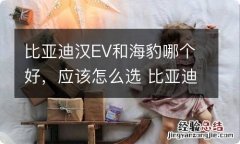 比亚迪汉EV和海豹哪个好，应该怎么选 比亚迪汉和海豚