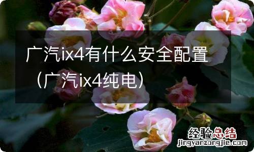 广汽ix4纯电 广汽ix4有什么安全配置