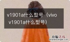 vivo v1901a什么型号 v1901a什么型号