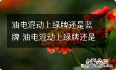 油电混动上绿牌还是蓝牌 油电混动上绿牌还是蓝牌的