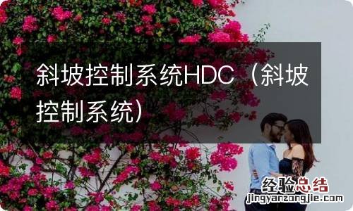 斜坡控制系统 斜坡控制系统HDC