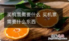 买机票需要什么 买机票需要什么东西