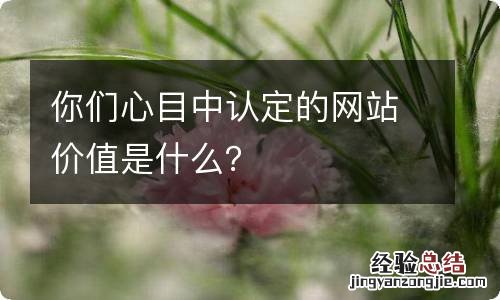 你们心目中认定的网站价值是什么？