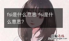 fsi是什么意思 fsi是什么意思?