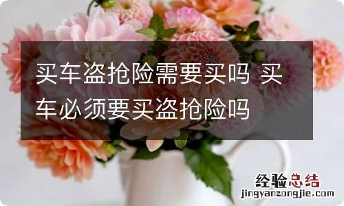 买车盗抢险需要买吗 买车必须要买盗抢险吗