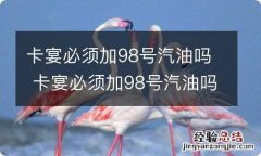 卡宴必须加98号汽油吗 卡宴必须加98号汽油吗