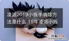 凌派2019小扳手消除方法是什么 19年凌派小扳手怎么手动消