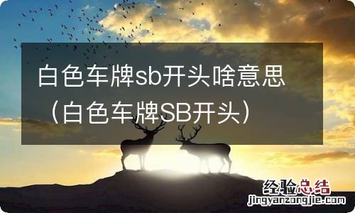 白色车牌SB开头 白色车牌sb开头啥意思