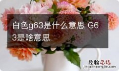 白色g63是什么意思 G63是啥意思