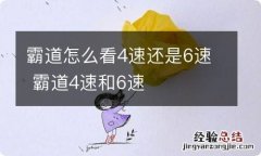 霸道怎么看4速还是6速 霸道4速和6速