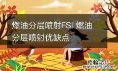 燃油分层喷射FSI 燃油分层喷射优缺点