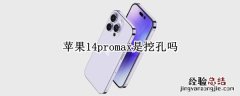 苹果14promax是挖孔吗 苹果12pro max四个孔什么用