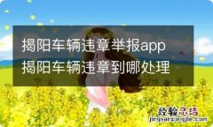 揭阳车辆违章举报app 揭阳车辆违章到哪处理?