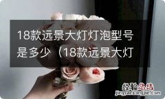 18款远景大灯灯泡型号是多少瓦 18款远景大灯灯泡型号是多少