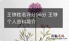 王铮姓名评分96分 王铮个人资料简介