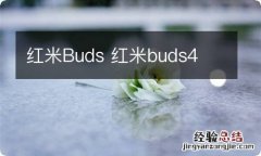 红米Buds 红米buds4