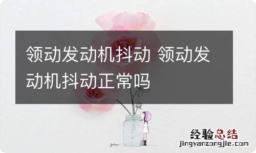 领动发动机抖动 领动发动机抖动正常吗