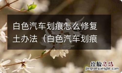 白色汽车划痕如何修复 白色汽车划痕怎么修复土办法