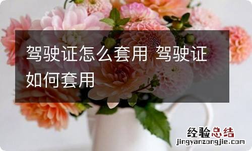驾驶证怎么套用 驾驶证如何套用