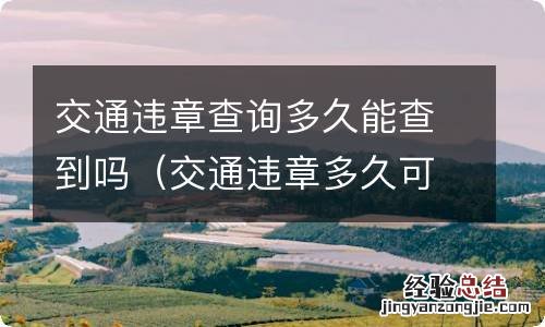 交通违章多久可以查到? 交通违章查询多久能查到吗