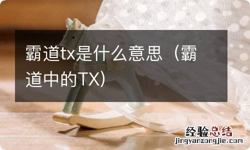 霸道中的TX 霸道tx是什么意思