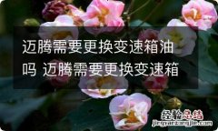 迈腾需要更换变速箱油吗 迈腾需要更换变速箱油吗多少钱