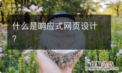 什么是响应式网页设计？