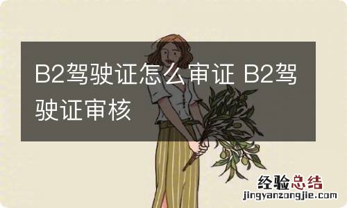 B2驾驶证怎么审证 B2驾驶证审核