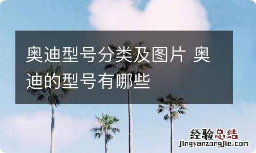 奥迪型号分类及图片 奥迪的型号有哪些