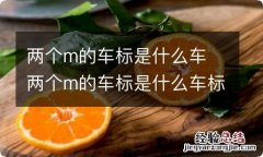 两个m的车标是什么车 两个m的车标是什么车标