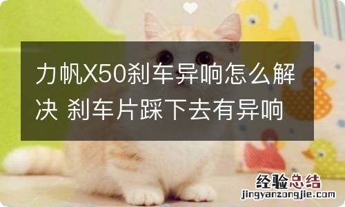 力帆X50刹车异响怎么解决 刹车片踩下去有异响