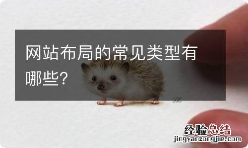 网站布局的常见类型有哪些？