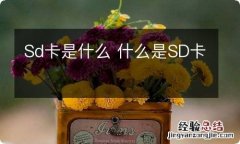 Sd卡是什么 什么是SD卡