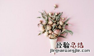 清纯唯美激情