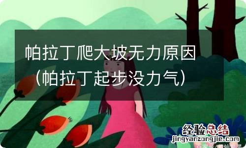 帕拉丁起步没力气 帕拉丁爬大坡无力原因