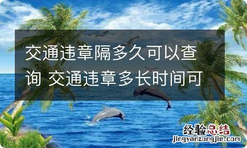 交通违章隔多久可以查询 交通违章多长时间可以查询