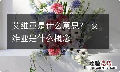 艾维亚是什么意思？ 艾维亚是什么概念