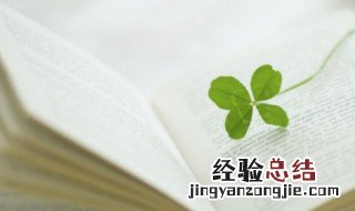 既温柔又励志的句子 温柔干净的励志句子