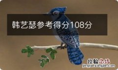 韩艺瑟参考得分108分