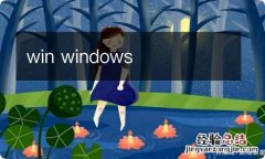 win windows