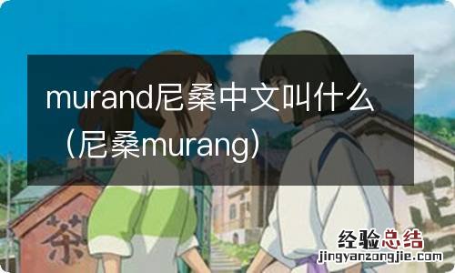 尼桑murang murand尼桑中文叫什么